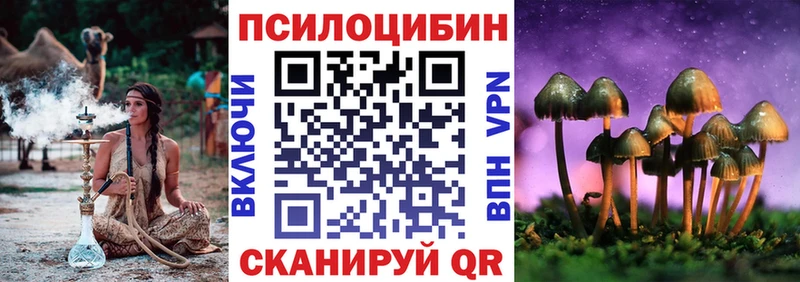 Купить где  Тихорецк  Галлюциногенные грибы прущие грибы 